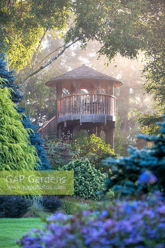Tree House sur un matin brumeux à Foggy Bottom, les jardins de Bressingham.