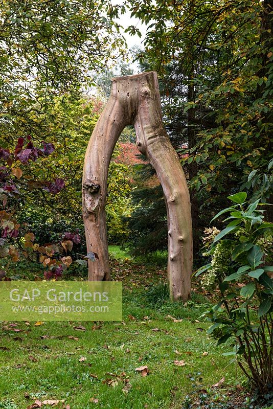Une magnifique sculpture d'arbre enjambe le chemin du jardin principal à l'arboretum.