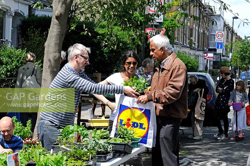 Homme achetant des plantes de décrochage communautaire dans la rue. Vente d'usine de jardiniers de Wilberforce Road, Londres