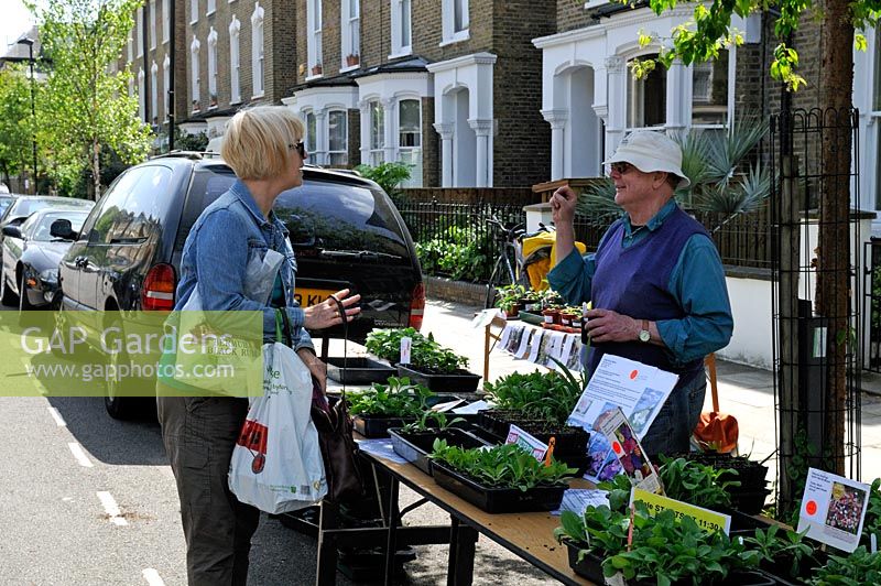 Femme discutant et achetant des plantes de décrochage communautaire dans la rue. Vente d'usine de jardiniers de Wilberforce Road, Londres
