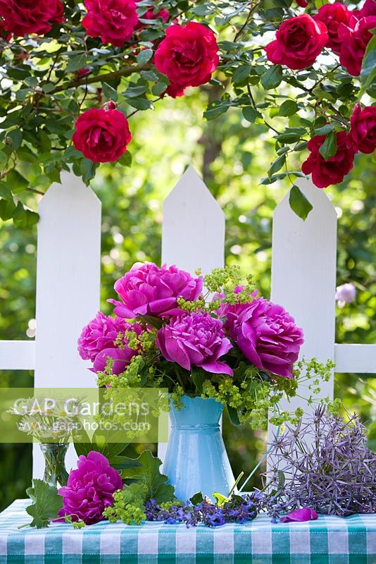Arrangement de fleurs coupées avec pot de pivoine sur table de jardin en été. Rosa 'Crimson Glory' - rosier grimpant