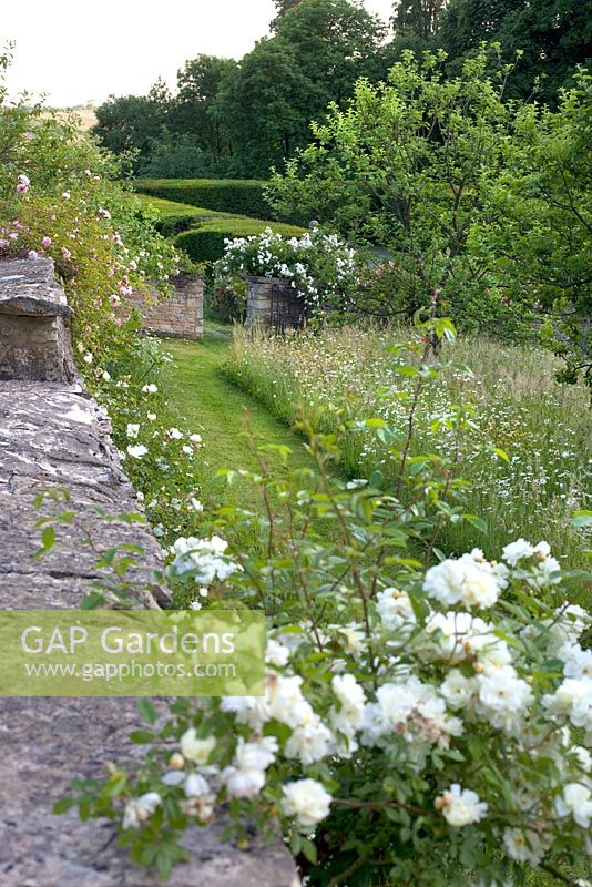 Moorwood Garden - Des roses débordent sur les murs de l'ancien verger