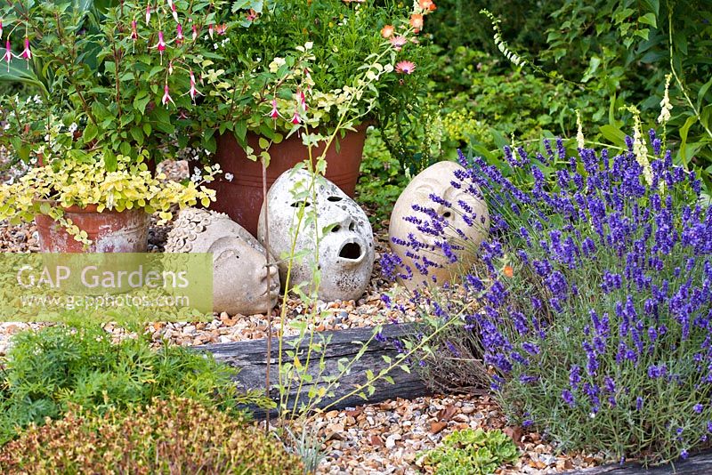 Têtes décoratives en argile dans un jardin de gravier avec Lavandula 'Hidcote' et Fuchsia 'Chequerboard', Helichrysum petiolare 'Limelight' en pots