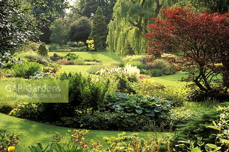 Bressingham - The Dell Garden, Island Annuals with Acer, Osmunda, Hosta, Salix