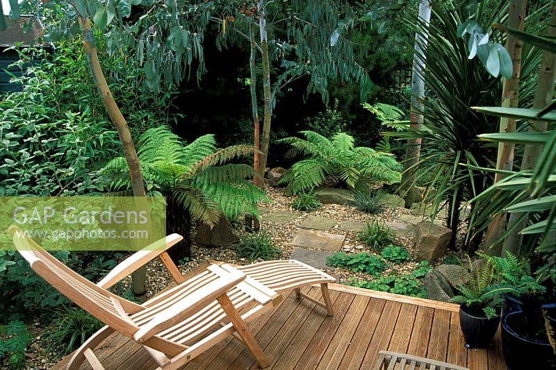 Plantation tropicale dans le jardin de Londres, Dicksonia antartica, eucalyptus, terrasse en bois et chaise longue