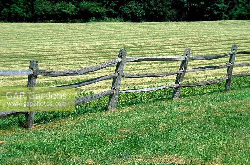 Clôture de poteau et de rail, champs de séparation en bois de chêne fendu. Michigan, États-Unis