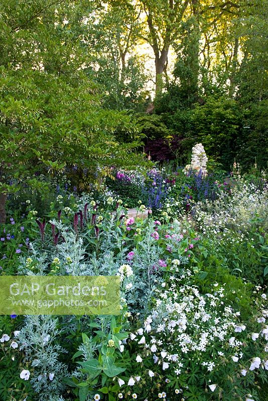 Le jardin M et G - La retraite. Vue de parterre de fleurs avec Artemisia absinthium 'Lambrook Silver', Lysimachia atropurpurea 'Beaujolais', Centranthus ruber 'Albus'