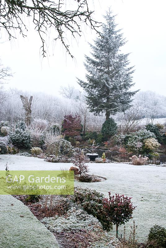 Jardin en gel - Soulevez le loquet, Somerset