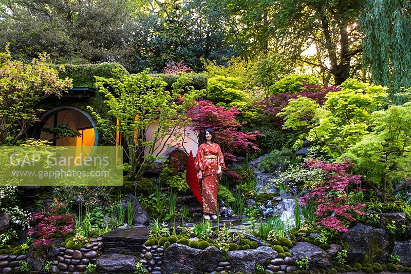 Femme japonaise en kimono debout sur des marches en pierre menant à la maison entourée d'une cascade, de pierres avec de la mousse, de petits arbres, Acer palmatum 'Asahi Zuru', 'Fireglow', Little Princess ',' Sherwood Flame, Acer japonicum 'Green cascade', Acer palmatum dissectum 'Emerald lace' - Edo no Niwa - Edo Garden - Designer, Kazuyuki Ishihara - Sponsor: Cat's Co Ltd