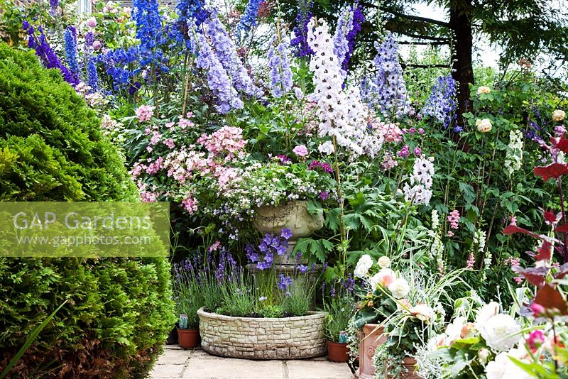 Jardin de cottage ouvert pour le programme des jardins nationaux, rempli de delphiniums, de roses et d'annuelles d'été colorées. Les paddocks, Wendover.
