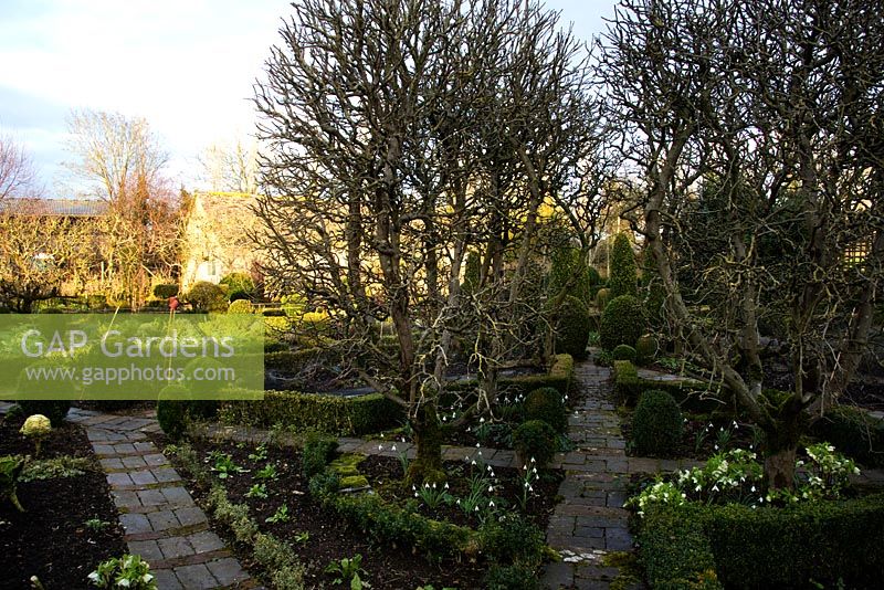 Le Parterre en hiver, avec des chemins symétriques et des arbres sans feuilles, et une maison au-delà