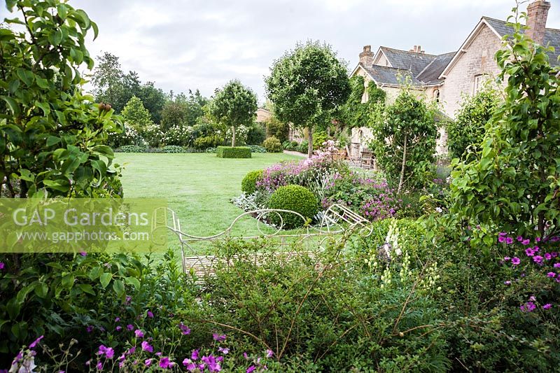 Jardin à la française autour d'une pelouse avec Pyrus nivalis - poiriers des neiges, boîte tondue et parterres de fleurs herbacées avec géranium Patricia, lychnis blancs et roses