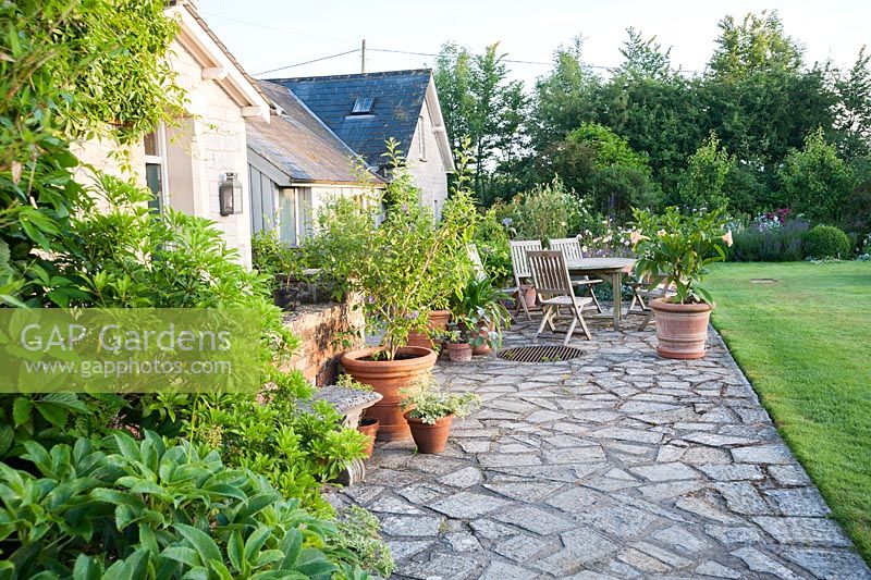Terrasse avec table et chaises entourée de pots plantés d'abricot et de brugmansia