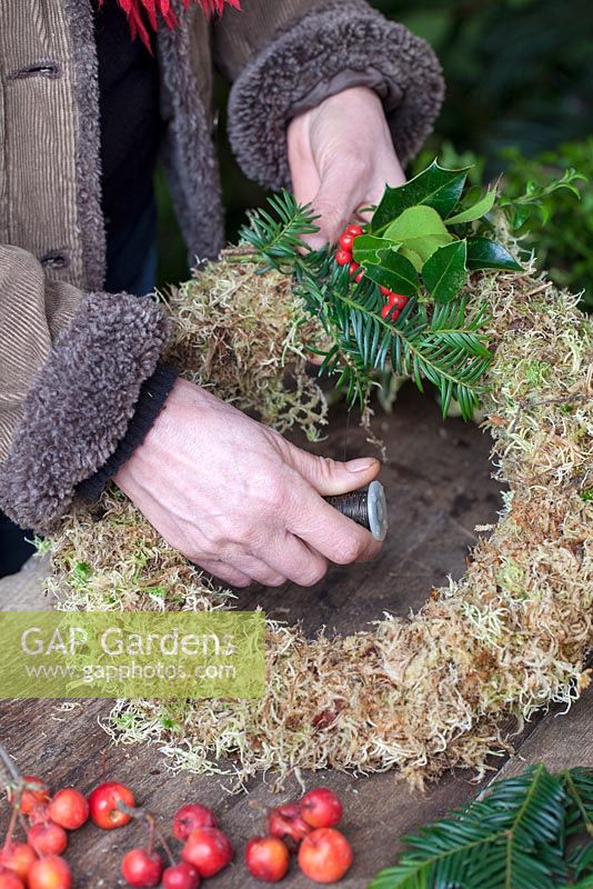 Attacher et fixer le feuillage saisonnier au cadre recouvert de mousse avec du fil. Jardin de Gabbi. Décembre.