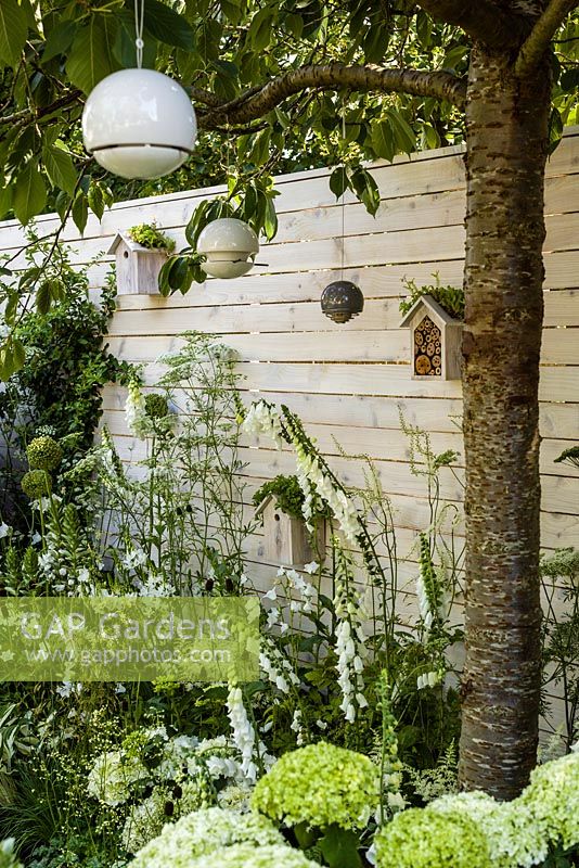 Paysages vivants 'City Twitchers' - vue montrant une plantation mixte de blanc, de pruniers et de nichoirs - RHS Hampton Court Flower Show 2015