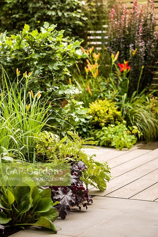 Foundations for Growth Garden - vue de la plantation de parterres de fleurs - RHS Hampton Court Flower Show 2015