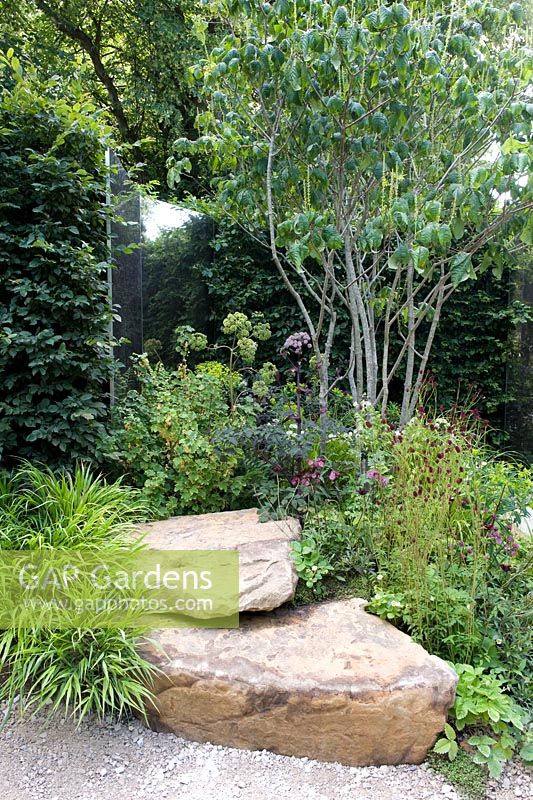 Le miroir bronzé et vieilli situé dans une haie de charme offre un espace réfléchissant dans un jardin ombragé avec des roches et des vivaces tolérantes à l'ombre et un arbre à plusieurs tiges. Un point de vue différent.