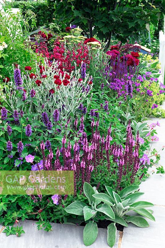 Plantation de rouge, bleu et violet - Just Retirement Garden, RHS Hampton Court Palace Flower Show 2015