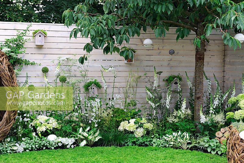 Plantation blanc doux le long du mur en bois. Nids d'oiseaux, abeille et mangeoires - Jardin 'City Twitchers' de Living Landscapes, RHS Hampton Court Flower Show 2015