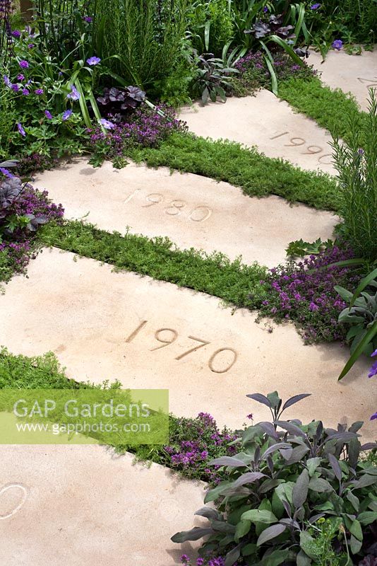 Plantation féminine pourpre avec des tremplins marquant les décaces depuis la création de l'organisme de bienfaisance dans le bien-être des femmes Garden au RHS Hampton Court Palace Flower Show 2015