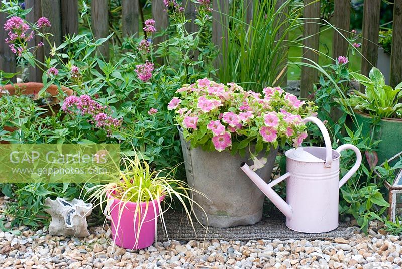 Pots de terrasse en été - Pétunia surfinia 'Green Edge Pink', Carex 'Everillo' valériane rose, graminées