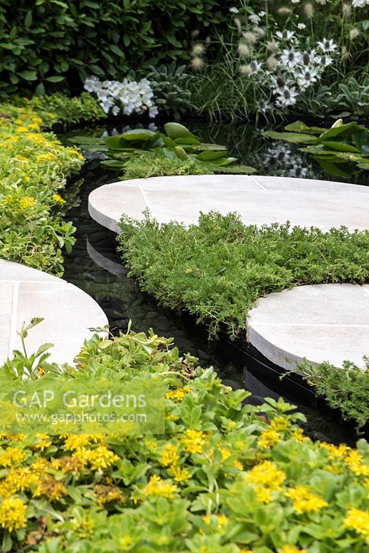 Tremplins circulaires dans le jardin City Twitchers avec un tapis Sedum et une pelouse de camomille poussant parmi les pierres. La créatrice Sarah Keyser parraine: Paysages vivants