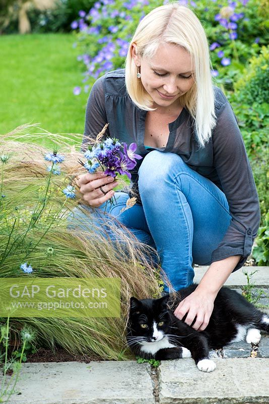 Jardin potager posie étape par étape en juin: Une visite du chat de la famille, Reggie, interrompt la coupe des tiges de Nigella damascens, love-in-the-mist, une annuelle qui dure bien comme une fleur coupée.