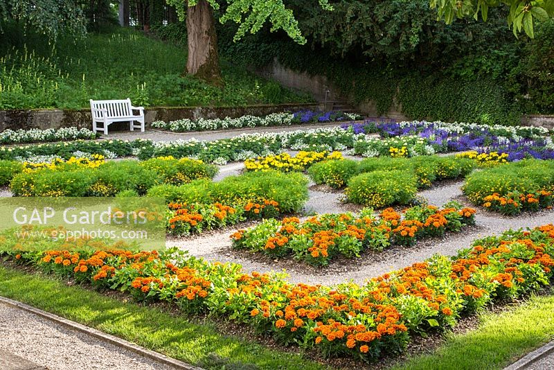 L'ancien jardin de buis à Weihenstephan avec plantation annuelle en couleurs - Alyssum, Begonia semperflorens et Tagetes
