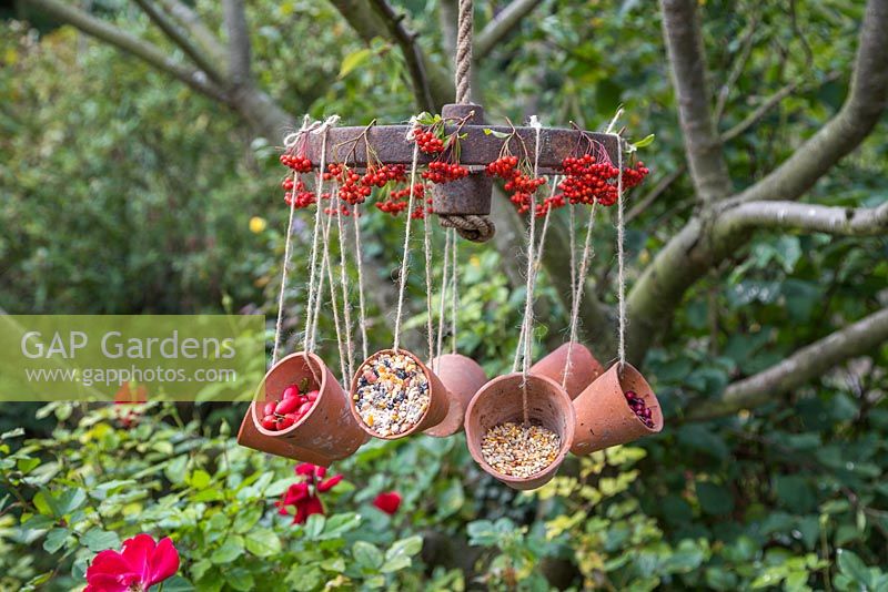 Une mangeoire à oiseaux patinée avec des pots suspendus en terre cuite offrant une variété de baies et de graines pour les oiseaux, décorée de baies de Pyracantha