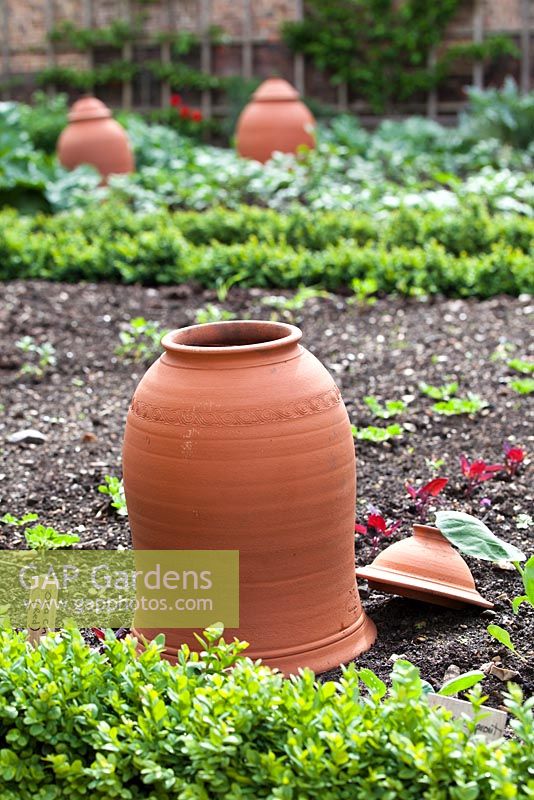 Jardin potager clos avec forçage de pots - fin avril - Kew Gardens, Londres, UK