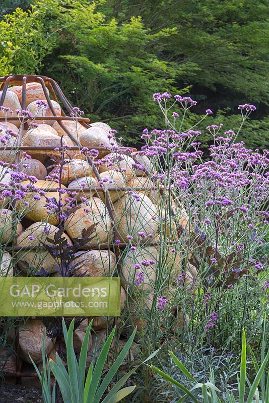 Sculpture en gabion unique en forme de bulbe, avec plantation de Verbena bonariensis et Actaea