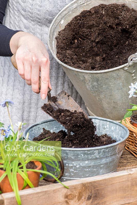 Planter un pot d'avril. Étape 2: remplissez le bol aux trois quarts de compost.