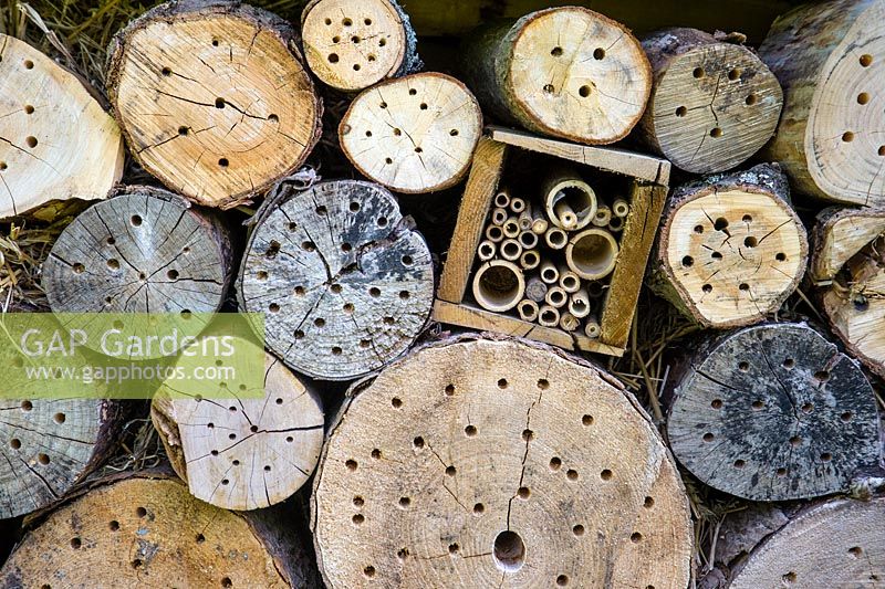 Abri anti-insectes avec billes forées et cannes de bambou