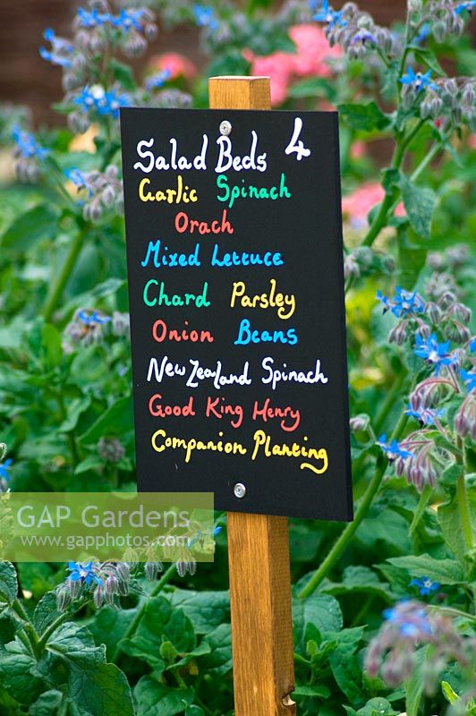 Tableau noir de jardin potager avec lettrage lumineux étiquetage des produits plantés dans le parterre de fleurs.
