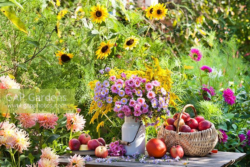 Exposition florale et de récolte d'asters et de pommes.