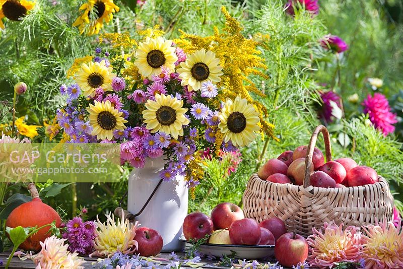 Exposition florale et de récolte d'asters, de tournesols et de pommes.