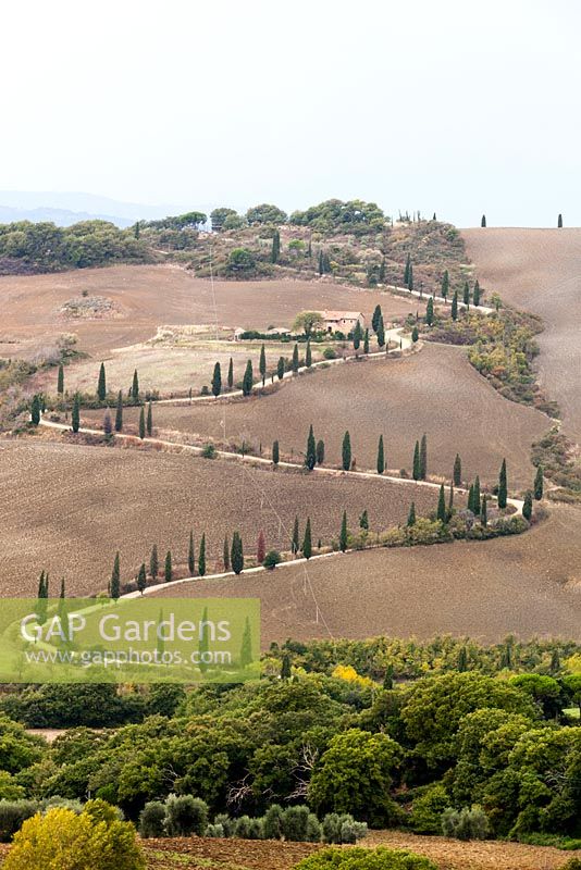 Vue sur la campagne et la route du domaine conçue par Cecil Pinsent depuis près du siège panoramique. Villa La Foce, près de Chianciano Terme, Sienne, Toscane, Italie. Octobre.