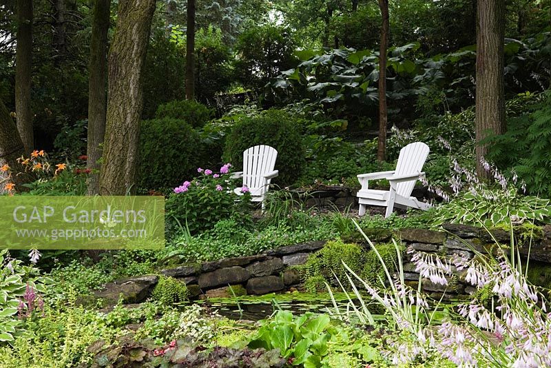 Deux chaises adirondacks en bois blanc sur le bord de l'étang avec des coussinets Nymphaea - Water Lily bordés de plantes Hosta à fleurs mauves, Québec, Canada.