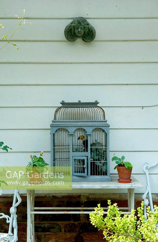 Ornement de cage à oiseaux décoratif complet avec toucan sur un perchoir. Tête d'ange en pierre sur le mur au-dessus. Auricules en pots de chaque côté.