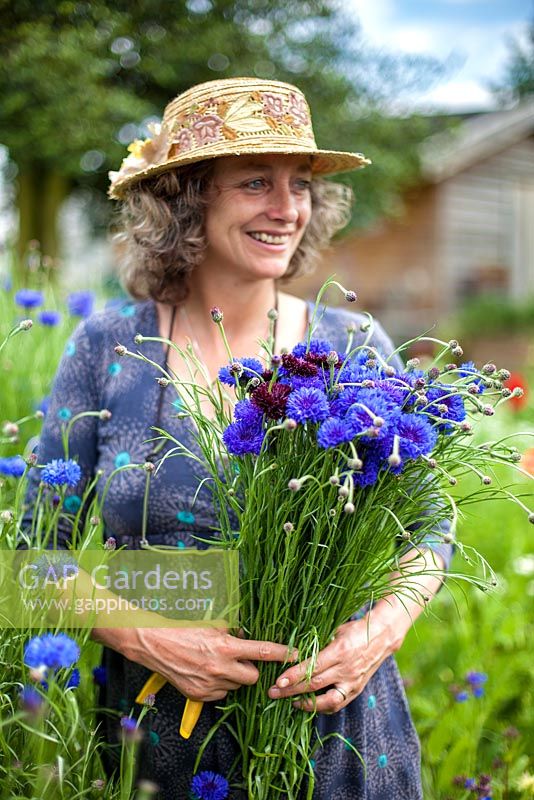Gabi Reid tenant un bouquet de Centaurea cyanus Blue Boy et Centaurea cyanus Black Ball, juin.