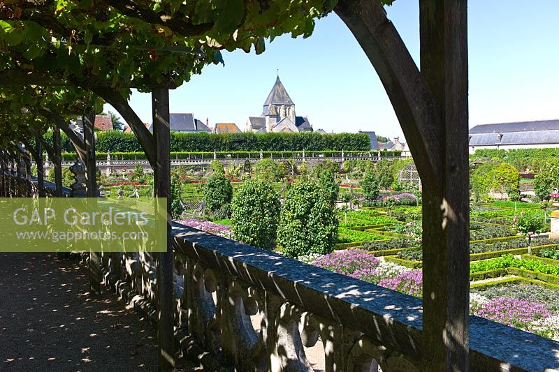 Donnant sur le jardin potager depuis une terrasse ombragée de vigne au château de Villandry, vallée de la Loire, France