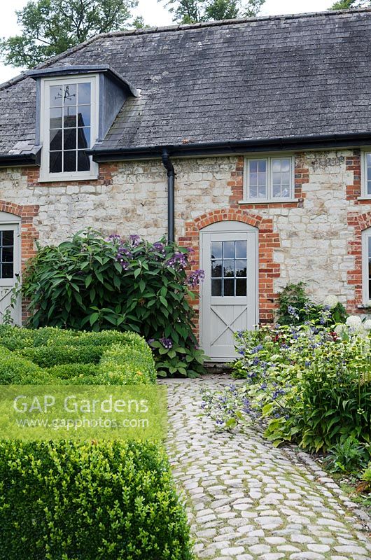 Chemin pavé menant à la maison à Bury Court, couverture de boîte à gauche et Clematis heracleifolia à droite