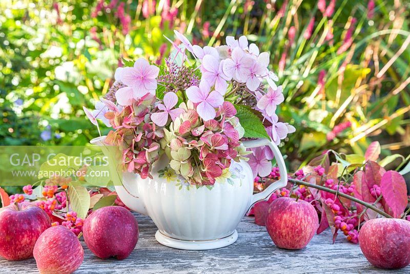 Affichage floral de têtes de fleurs d'hortensia dans une théière, avec des pommes exceptionnelles