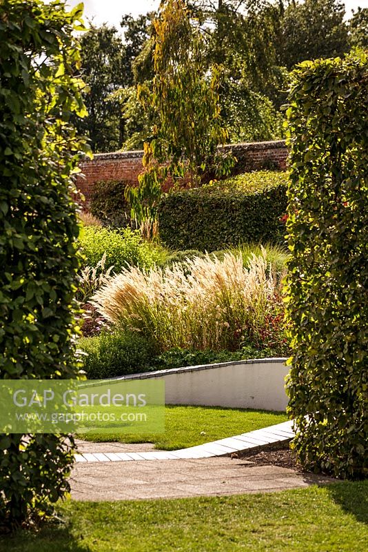 Vue sur le jardin clos avec des herbes ensoleillées entre une haie de hêtres. Jardins et Arboretum de Marks Hall