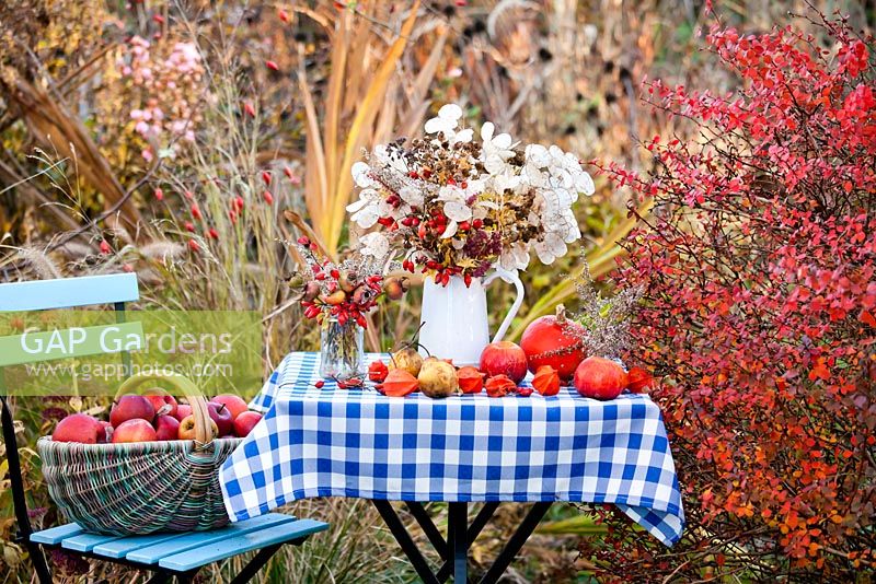 Cruche de fleurs séchées en automne. Honnêteté, cynorhodons, Sedum, Physalis, Persicaria, aster. Pommes récoltées.