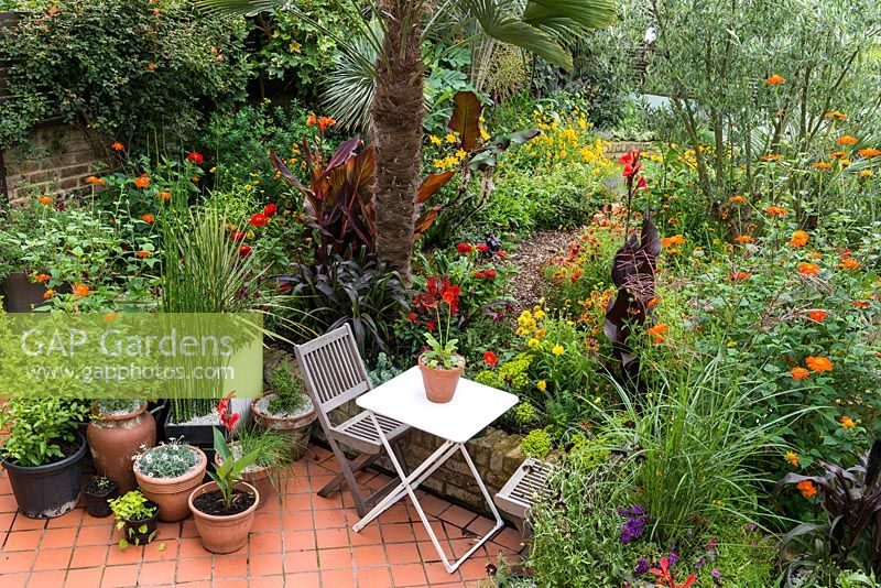 Un jardin tropical de la ville avec un coin salon entouré de parterres de fleurs chauds plantés de tithonie, de canna, de rudbeckia et de zinnia sous un palmier Trachycarpus wagnerianus.