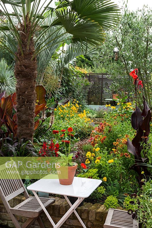 Un jardin tropical de la ville avec un coin salon entouré d'un parterre de fleurs chaud planté de coréopsis, de canna, de rudbeckia et de zinnia sous un palmier Trachycarpus wagnerianus.