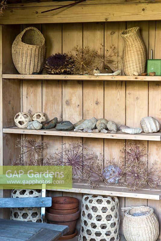 Les étagères dans un pavillon d'été contiennent de grosses têtes de semence d'Allium cristophii et d'Allium 'Purple Sensation '.