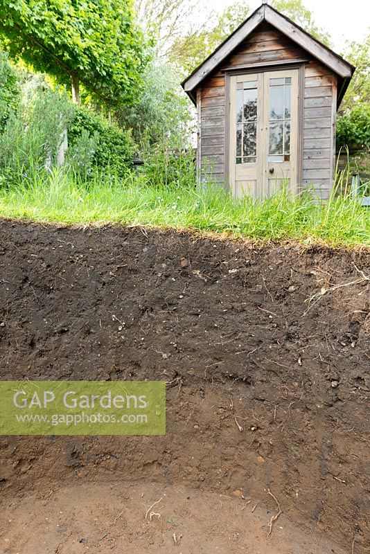 Profil de sol montrant la couche arable et le sous-sol. Trou creusé à 60 cm de profondeur