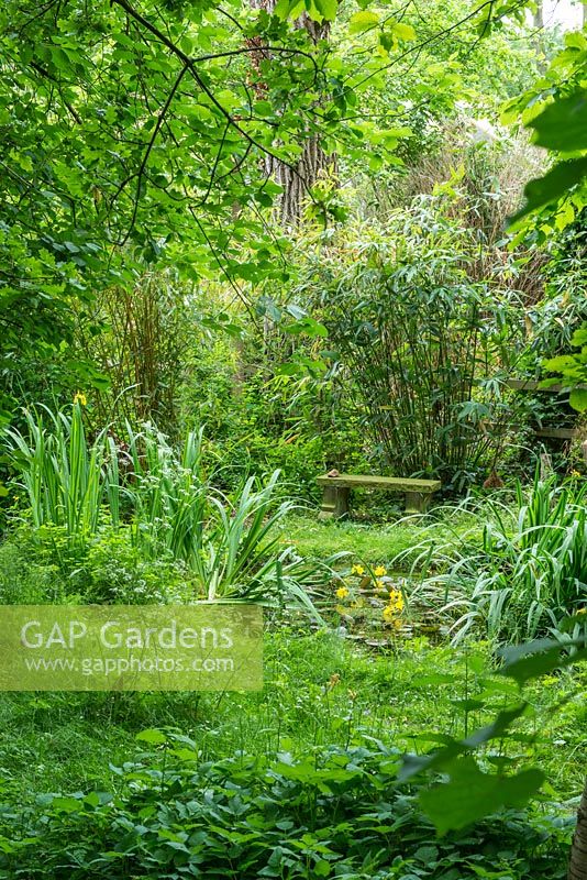 Un jardin de la faune des bois avec des arbres, des arbustes, des bambous, de l'herbe rugueuse et un étang avec un siège en pierre.